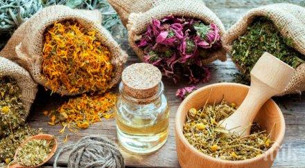 билки укрепват имунитета