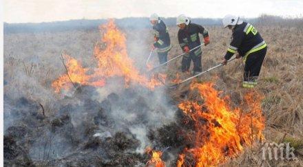 пожар пламна големия национален парк полша