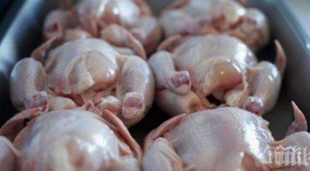 бабх спипа птиче месо полша българия замърсено салмонела