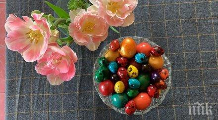 евродепутатът андрей слабаков показа яйцата снимка