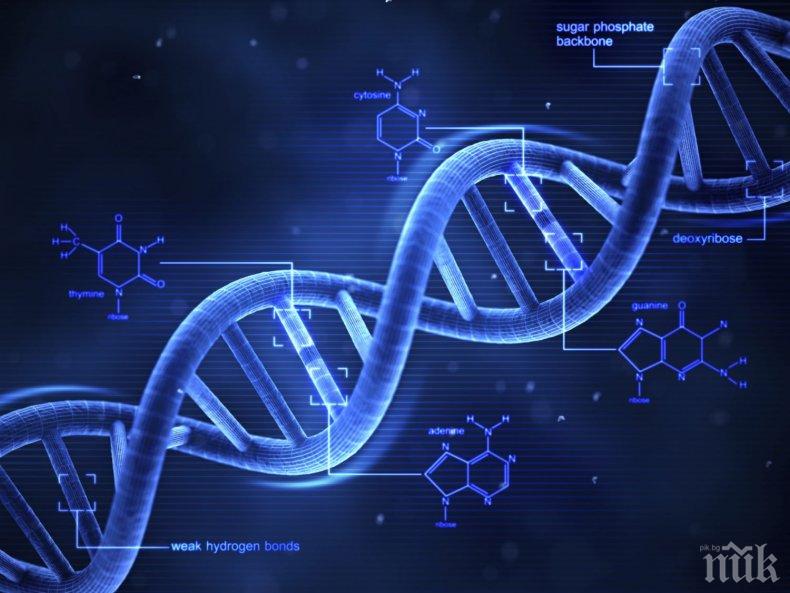ДНК-то ни мутира от... ленив живот
