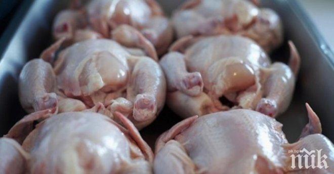 БАБХ спипа птиче месо от Полша за България, замърсено със салмонела