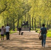 НАРЪЧНИК: Как да се разхождате в парковете в София от утре