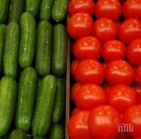 БАБХ забрани 24 тона вносни зеленчуци с пестициди