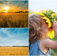 СЛЪНЦЕТО ПЕЧЕ ЩЕДРО! Духа слаб до умерен вятър от изток-североизток, може да превали в Пирин и Рила, но температурите продължават да са летни (КАРТИ)