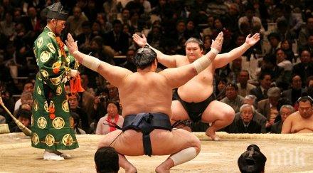 заразените сумисти япония станаха петима