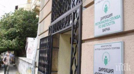 близо 300 фирми варна региона подали документи кандидатстване мярката