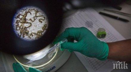 разкриха тайна свързана произхода живота