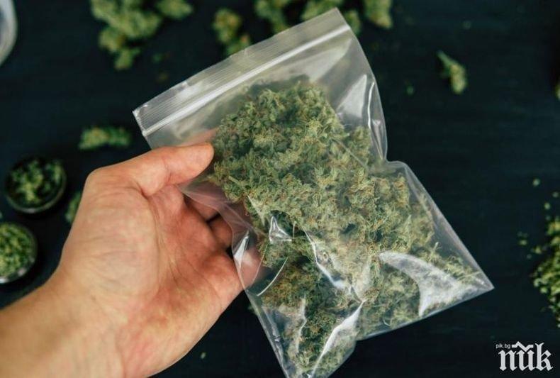 Общинският съвет по наркотични вещества в Разград издаде първи електронен бюлетин