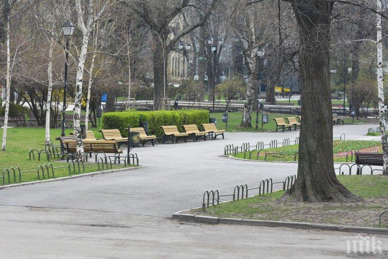 Разрешиха разходките в парковете на Велико Търново
