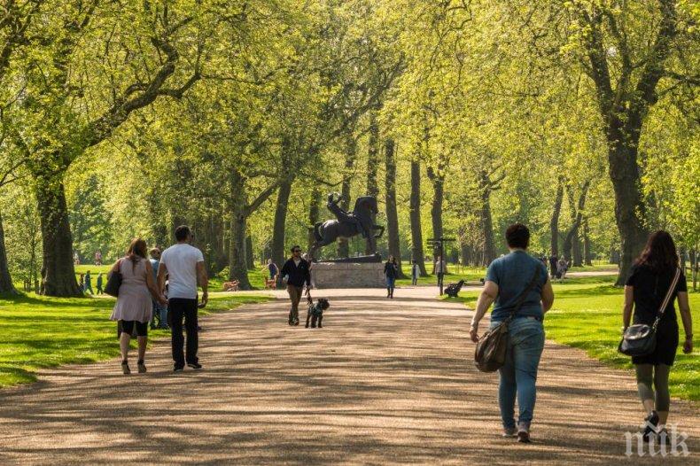 НАРЪЧНИК: Как да се разхождате в парковете в София от утре
