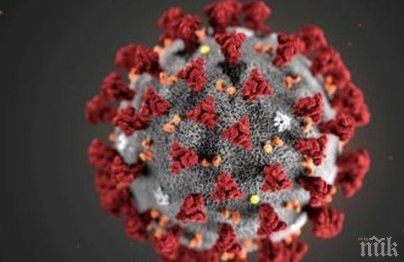 Над 30 000 заразени с коронавирус в Африка