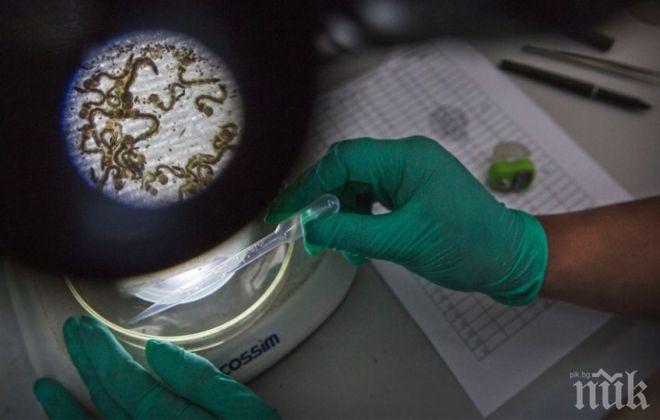 Разкриха тайна, свързана с произхода на живота