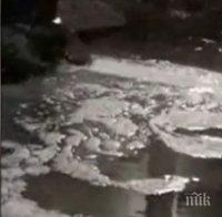 Отново замърсиха река Черна