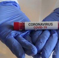 СЗО:   Над 3 млн души по света са заразени с коронавирусната инфекция