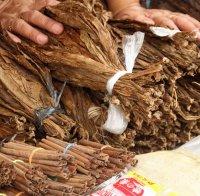 УДАР: Иззеха 700 кг нелегален тютюн край Пловдив