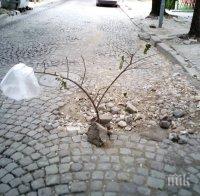 РЕШЕНО: Улица 