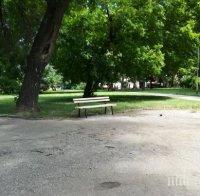 Отварят парковете и във Видин