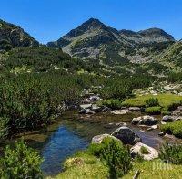 ВАС постанови да се правят екологични оценки на Пирин, Витоша и Рила