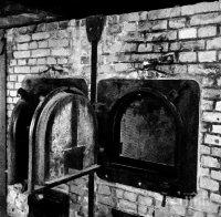 COVID-19 уби лагерник, преживял ужасите на 