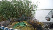 Бракониери заплашиха доброволци към ИАРА с убийство