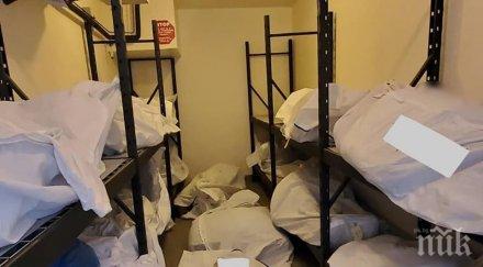 трогателно предсмъртно писмо мъж покосен коронавирус жена разплака целия свят снимка