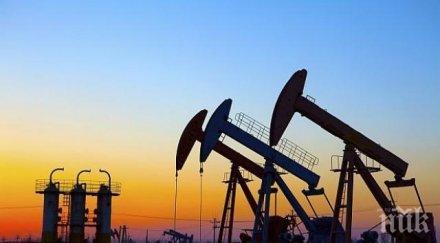 сащ готвят антикризисен план петролната индустрия