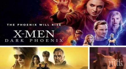 провал филмът донесъл големи финансови загуби 2019 година