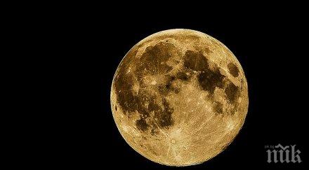 продават търг парче луната