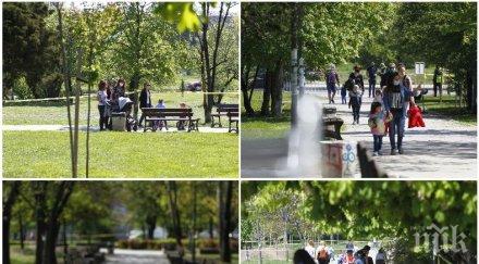 фоторепортаж пик случва парковете софия падането забраната разходки снимки