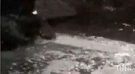 отново замърсиха река черна