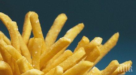 нестандартно белгия поиска гражданите ядат картофи време пандемията