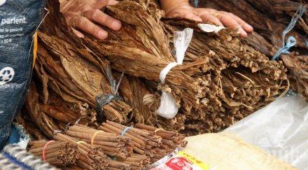 спипаха 858 кила нелегален тютюн тир