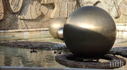 чудо патици появиха фонтана ндк