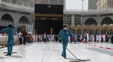 000 потвърдените случаи заразени коронавируса саудитска арабия