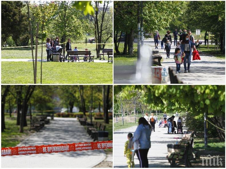 ФОТОРЕПОРТАЖ НА ПИК: Ето какво се случва в парковете на София след падането на забраната за разходки (СНИМКИ)