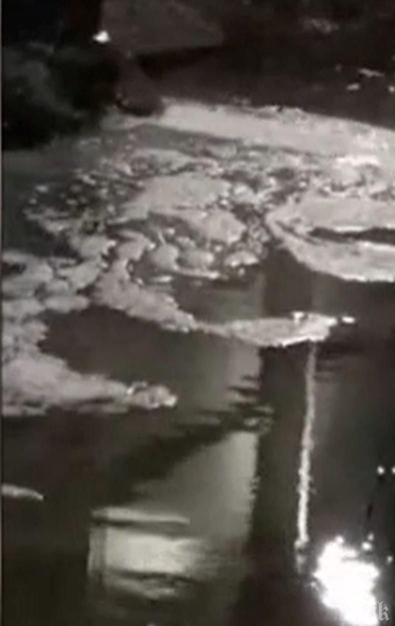 Отново замърсиха река Черна