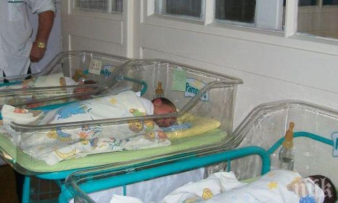 Тризнаци проплакаха в болницата в Добрич