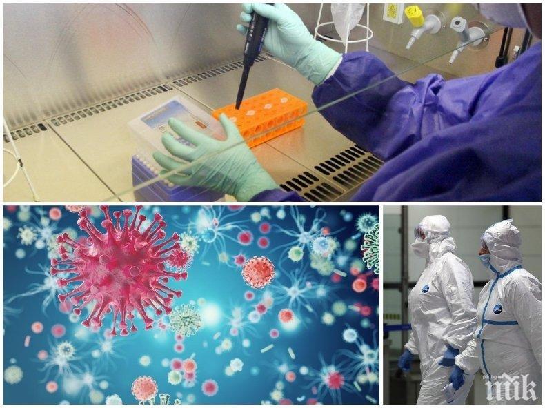 ПРОГРЕС: Български учени разработват хиперимунен серум за борба с коронавируса