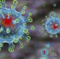 780 станаха жертвите на китайския грип в Румъния