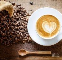 Пийте кафето си така, за да е полезно за здравето ви