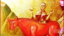 ПРАЗНИК: Честваме една наистина велика светица