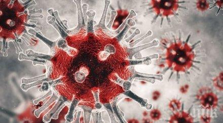 106 годишна французойка излекува коронавируса