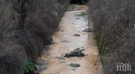река поройна оцвети кафяво