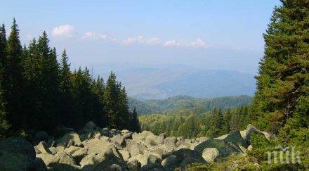 важно фандъкова разяснения разходките витоша парковете