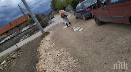 паника снаха брестовица запали цалапица коронавирус