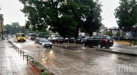 валежите паднали последните дни добрич спасили реколтата пшеница