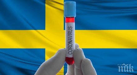 швеция починалите ден 124 заразените 790 скандинавската страна даде 2500 жертви заради закъснелите мерки