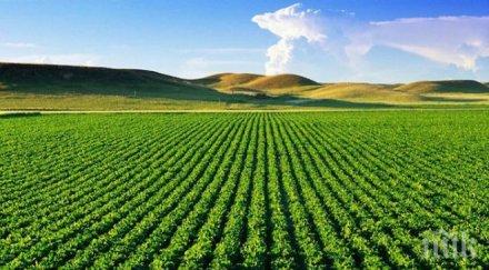 112 британци мераклии работят полето лондон отново опря българия румъния