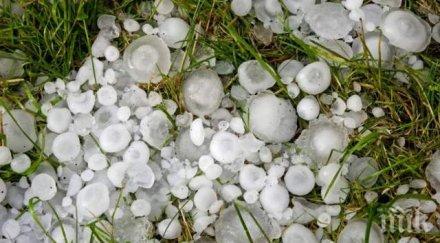 градушка помля кости община царево